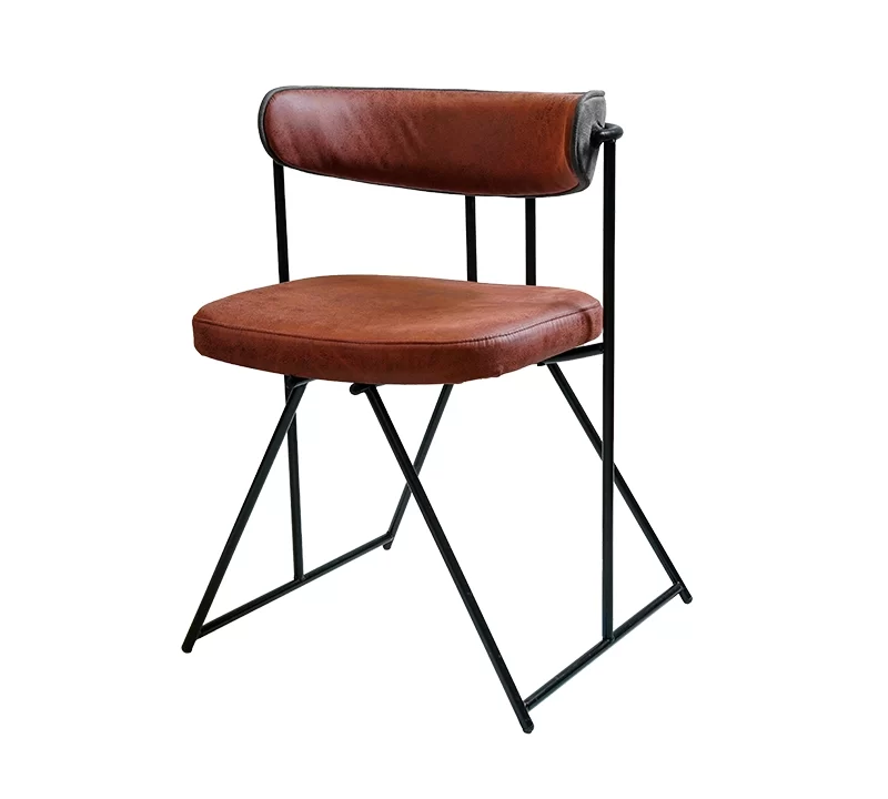 Saga_Montana_Transp_001_aros_m