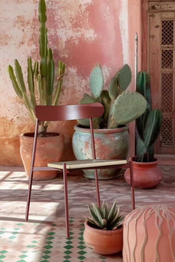 Aros_M_Colecciones_Agavaceae_Destilada